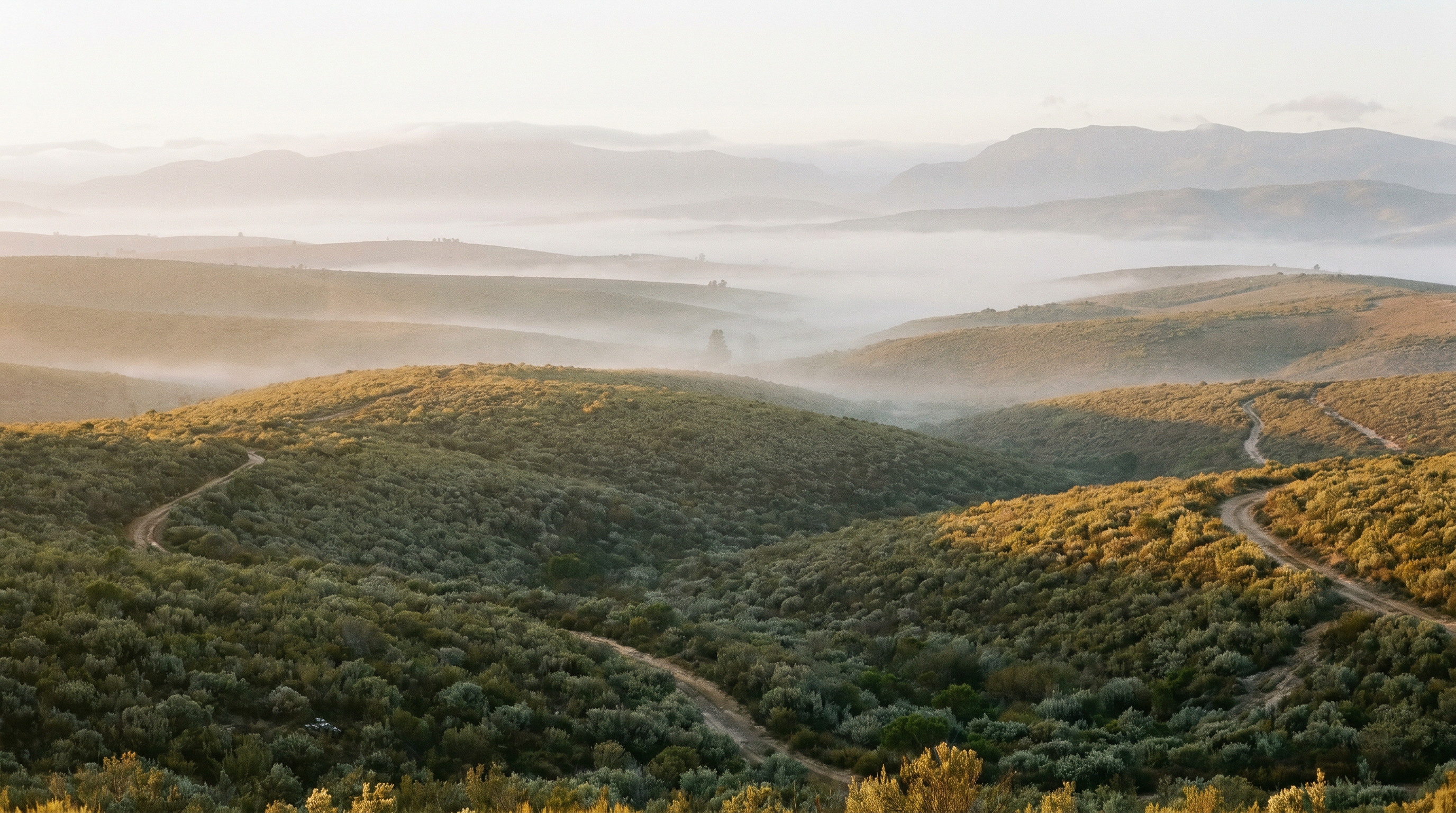 Eastern Cape mountain slopes.